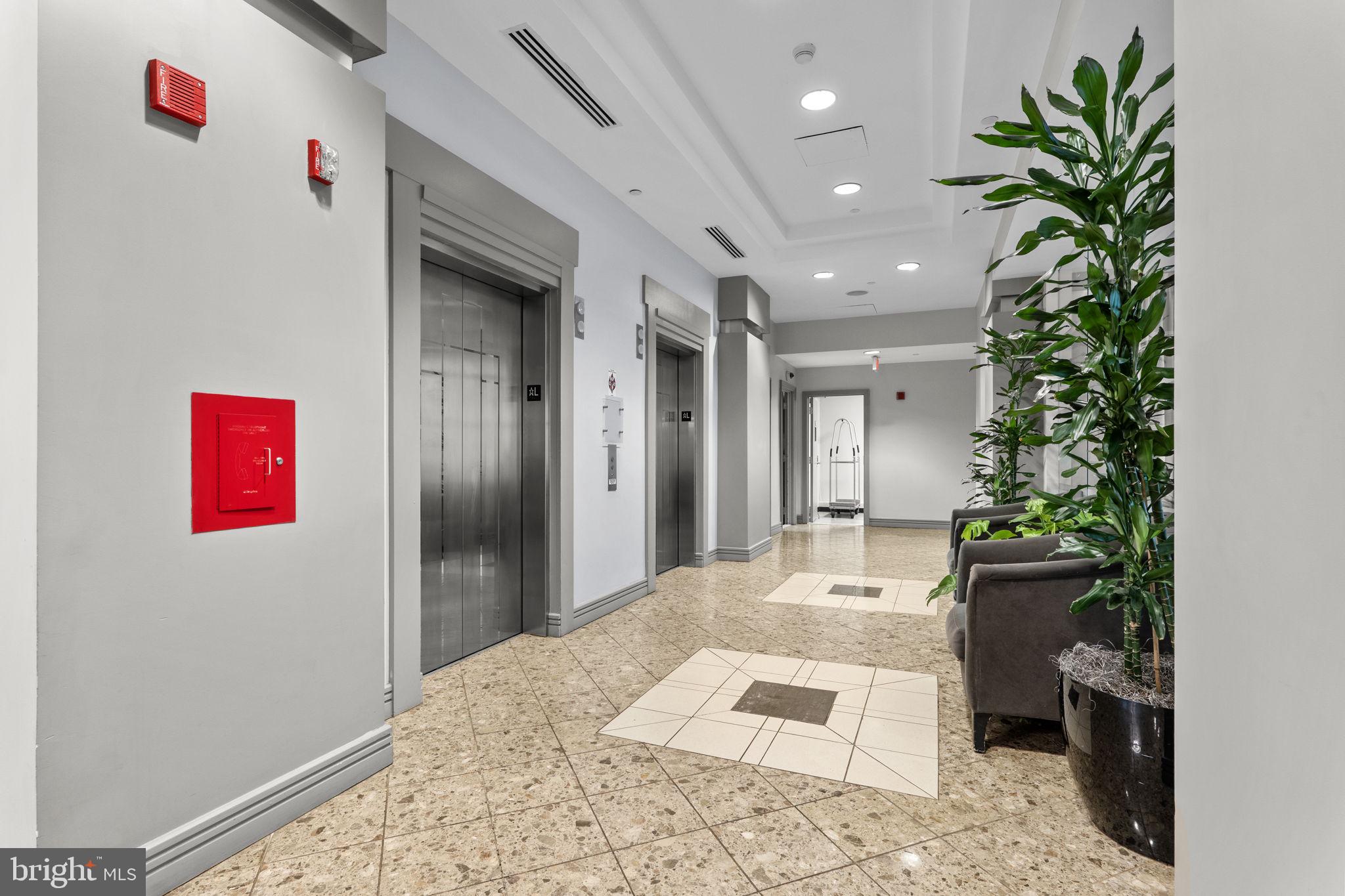 880 North Pollard Street, Unit 224 Arlington, VA 22203 - Photo 41 of 50 a hallway with a potted plant on a counter and a wooden floor