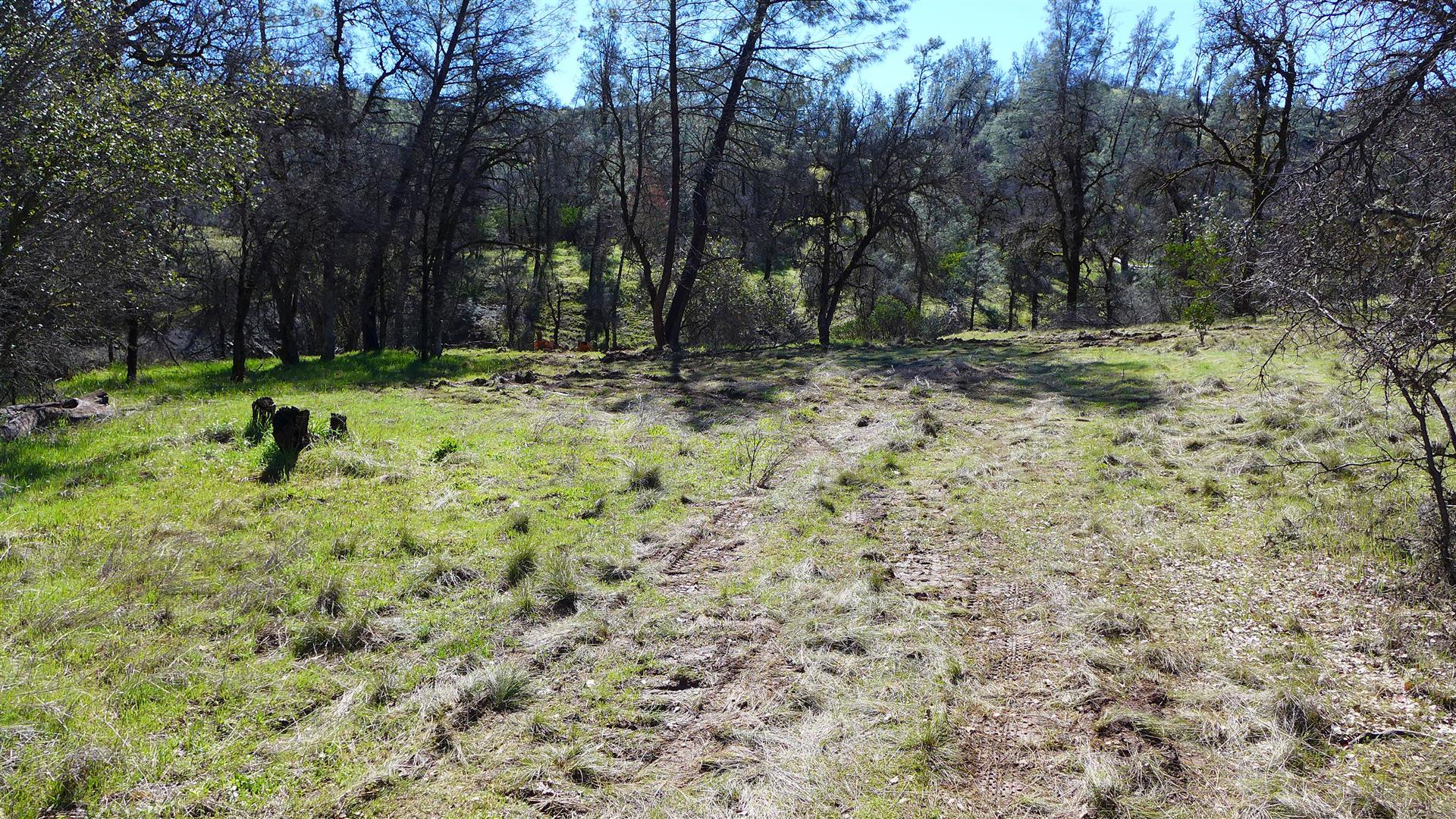 Lot 96 Platina Road Igo, CA 96047 - Photo 11 of 21 P1080469