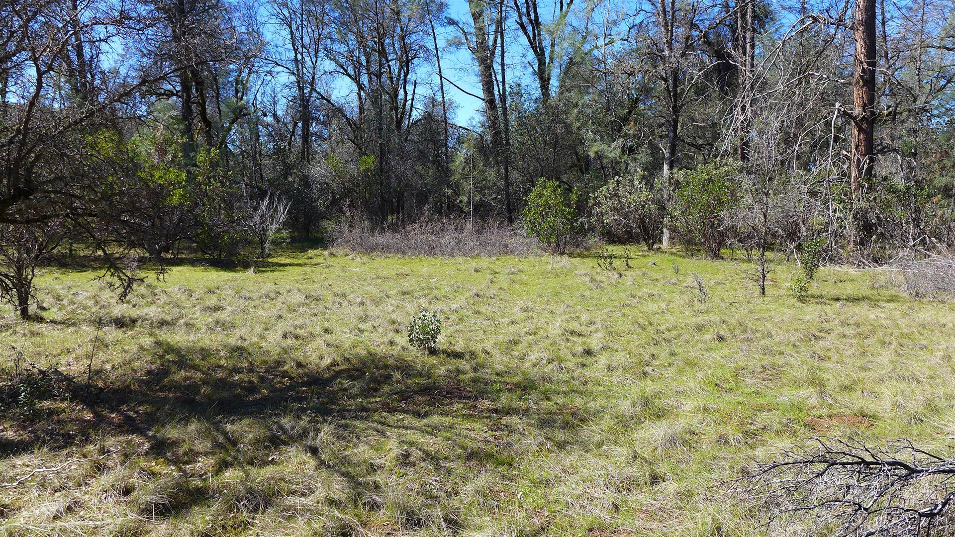 Lot 96 Platina Road Igo, CA 96047 - Photo 12 of 21 P1080470