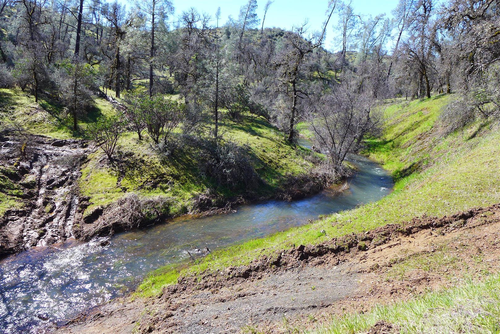 Lot 96 Platina Road Igo, CA 96047 - Photo 14 of 21 P1080476