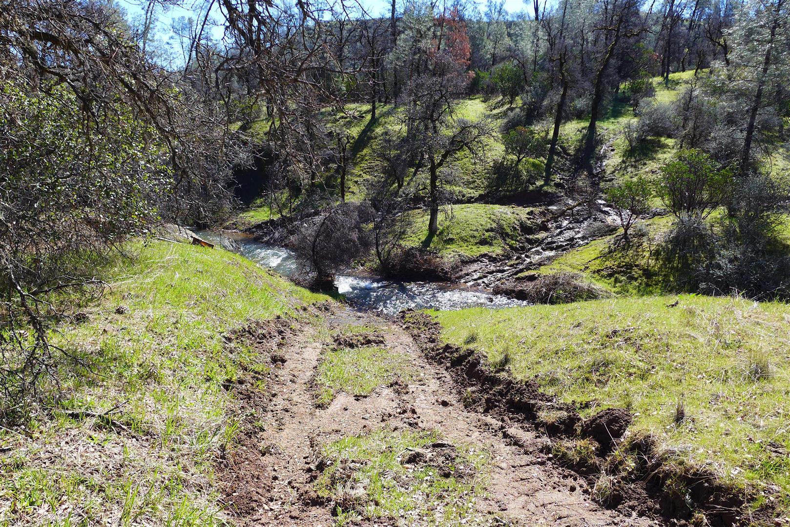 Lot 96 Platina Road Igo, CA 96047 - Photo 15 of 21 P1080477