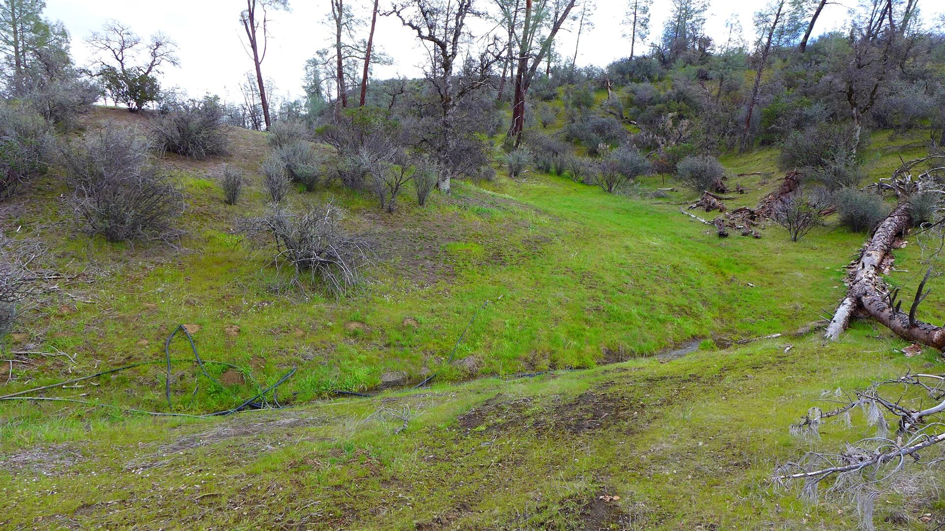 Lot 96 Platina Road Igo, CA 96047 - Photo 16 of 21 P1080520