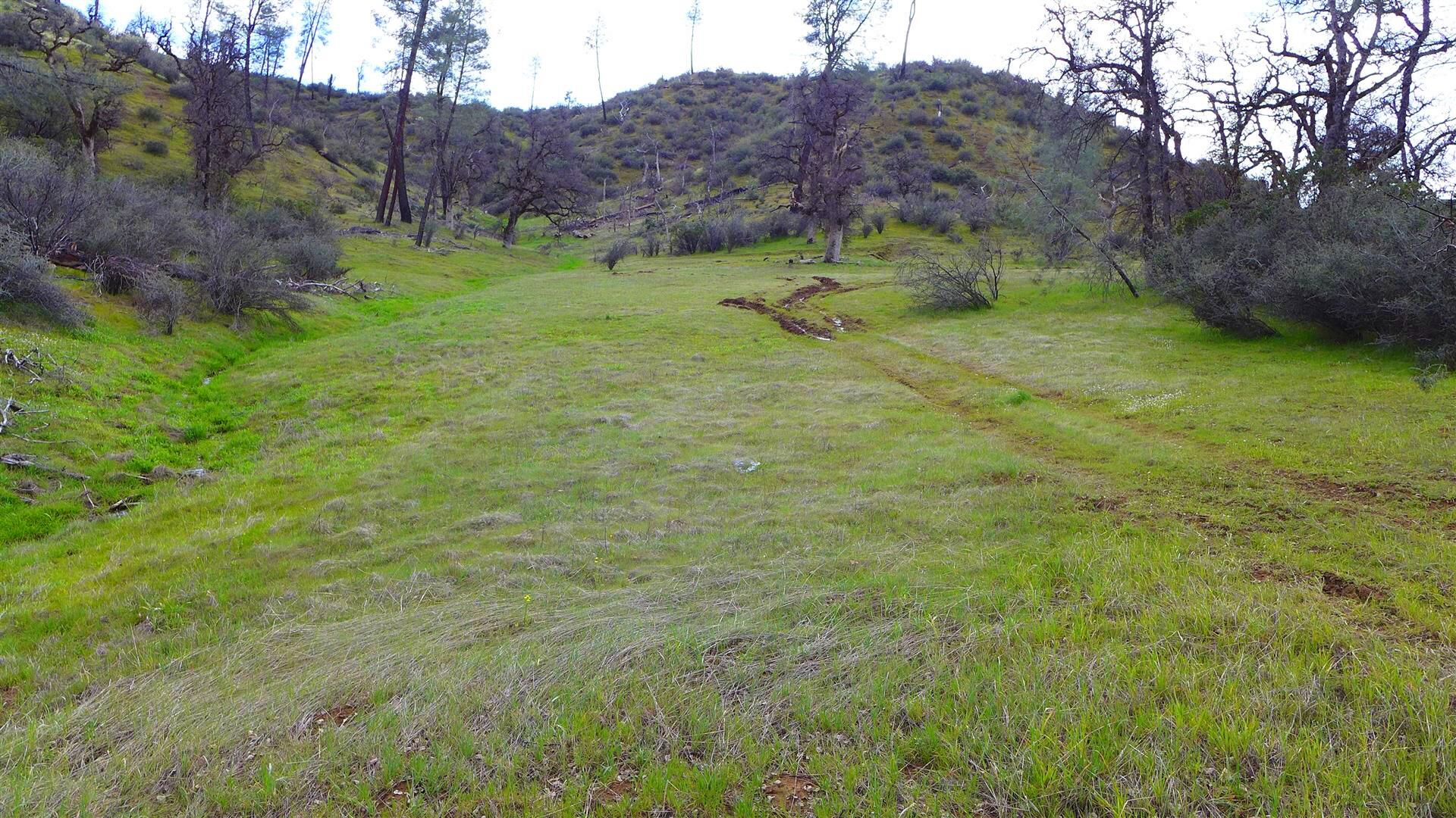 Lot 96 Platina Road Igo, CA 96047 - Photo 17 of 21 P1080521
