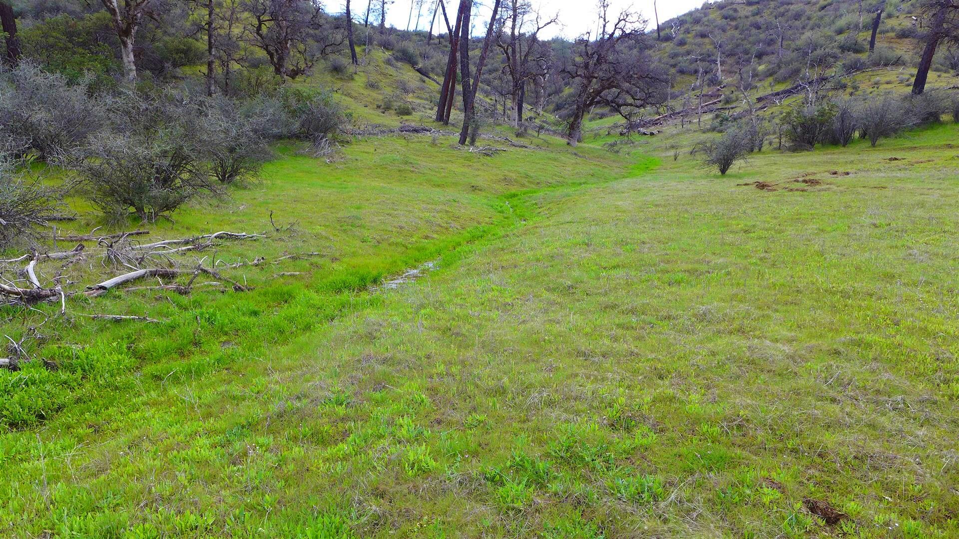 Lot 96 Platina Road Igo, CA 96047 - Photo 18 of 21 P1080523