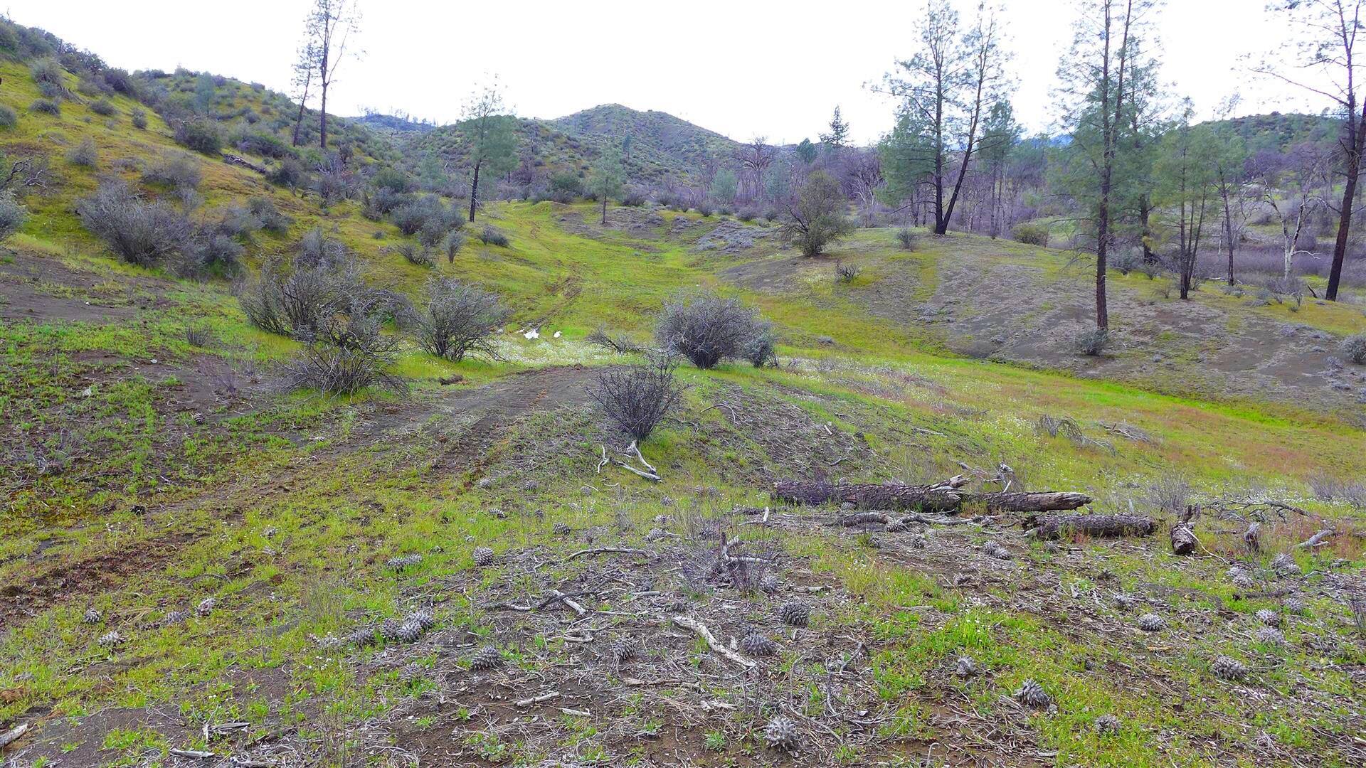 Lot 96 Platina Road Igo, CA 96047 - Photo 19 of 21 P1080524