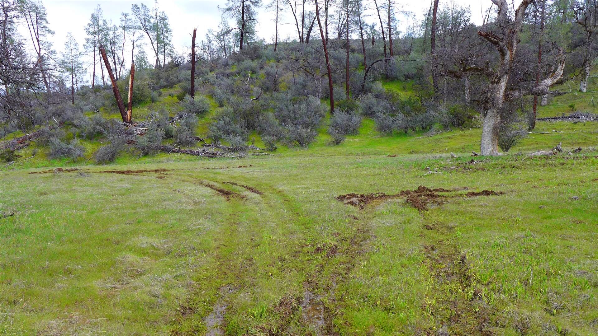Lot 96 Platina Road Igo, CA 96047 - Photo 20 of 21 P1080525