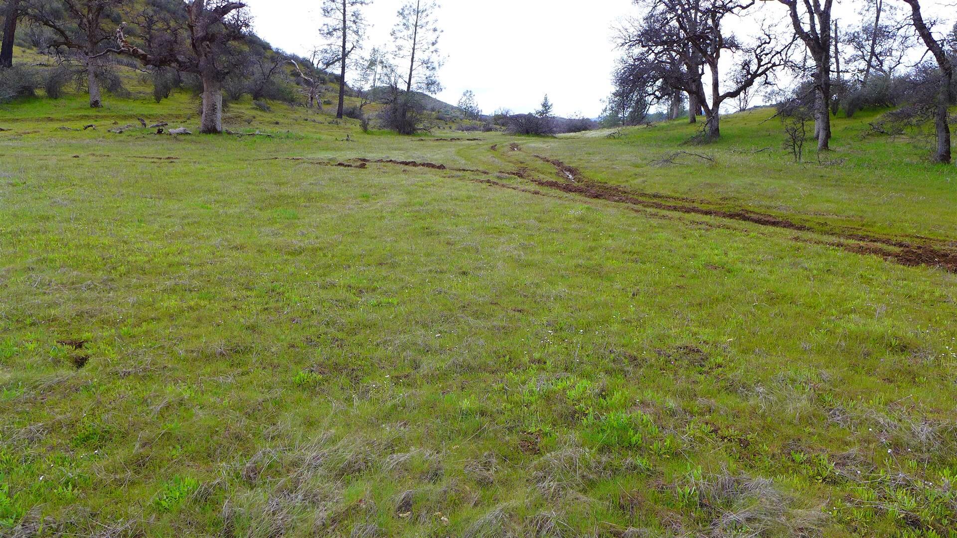 Lot 96 Platina Road Igo, CA 96047 - Photo 4 of 21 1
