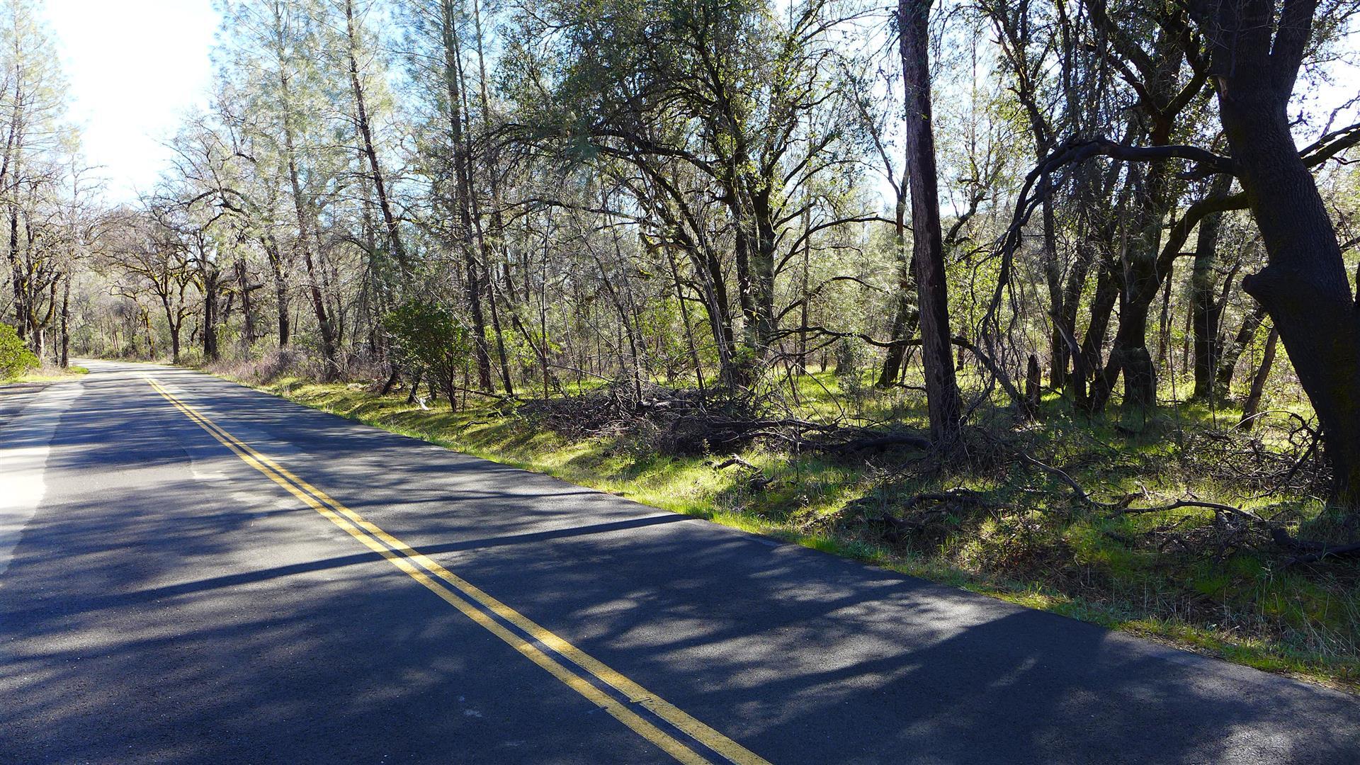 Lot 96 Platina Road Igo, CA 96047 - Photo 7 of 21 P1080463