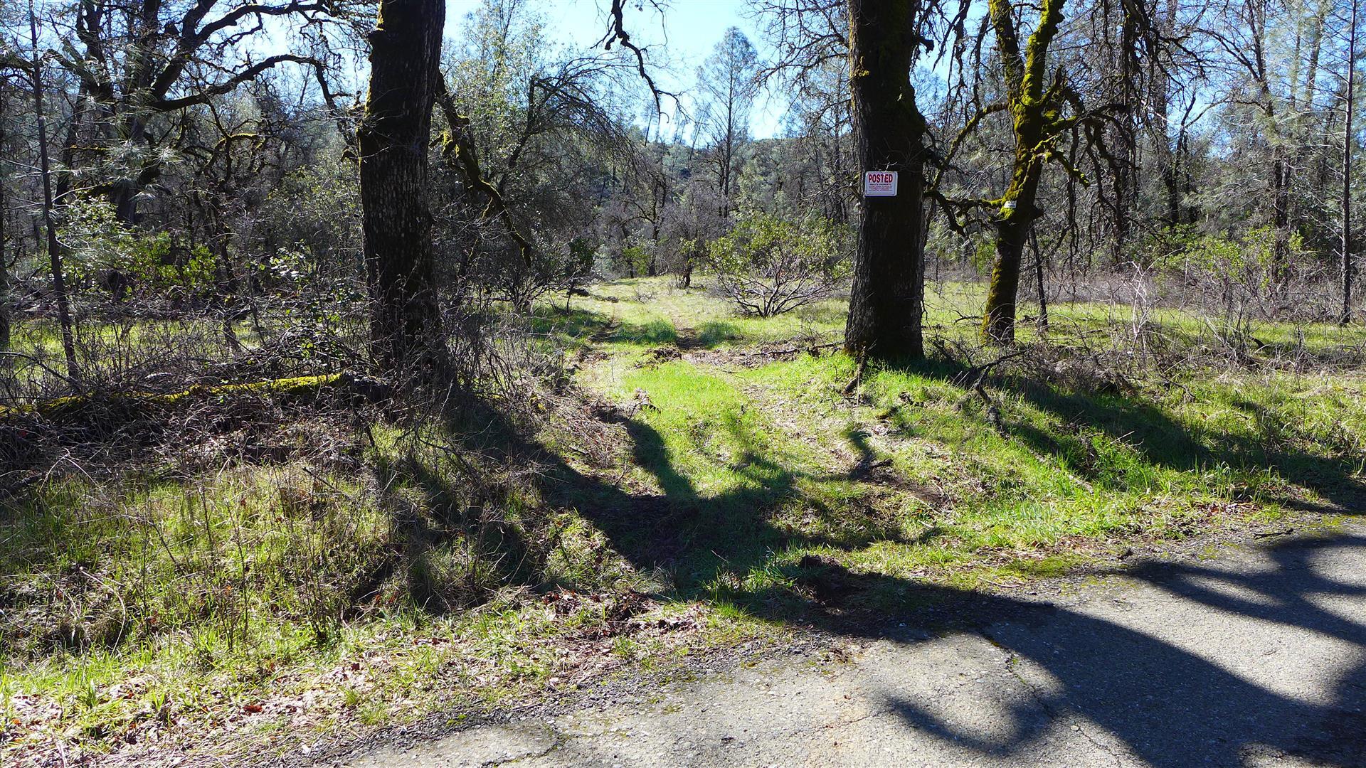 Lot 96 Platina Road Igo, CA 96047 - Photo 8 of 21 P1080466
