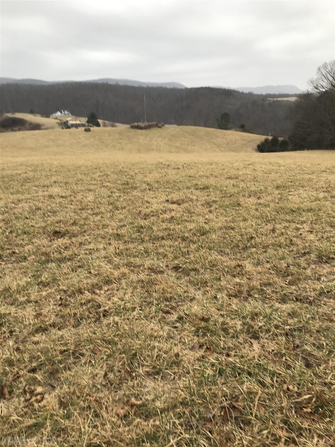 24347 Blue Spring Road Hiwassee, VA 24347 - Photo 1 of 6 Gallery Image 1