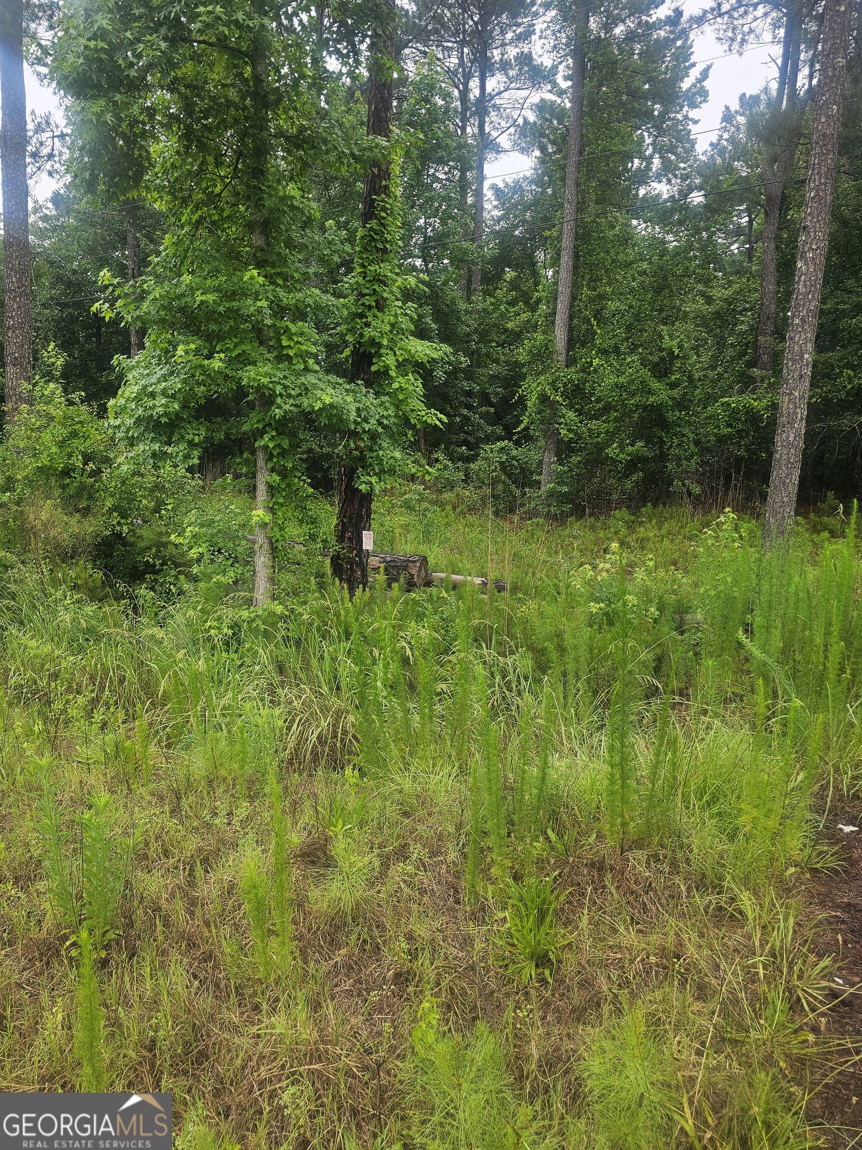 2755 Peeksville Road Locust Grove, GA 30248 - Photo 9 of 14