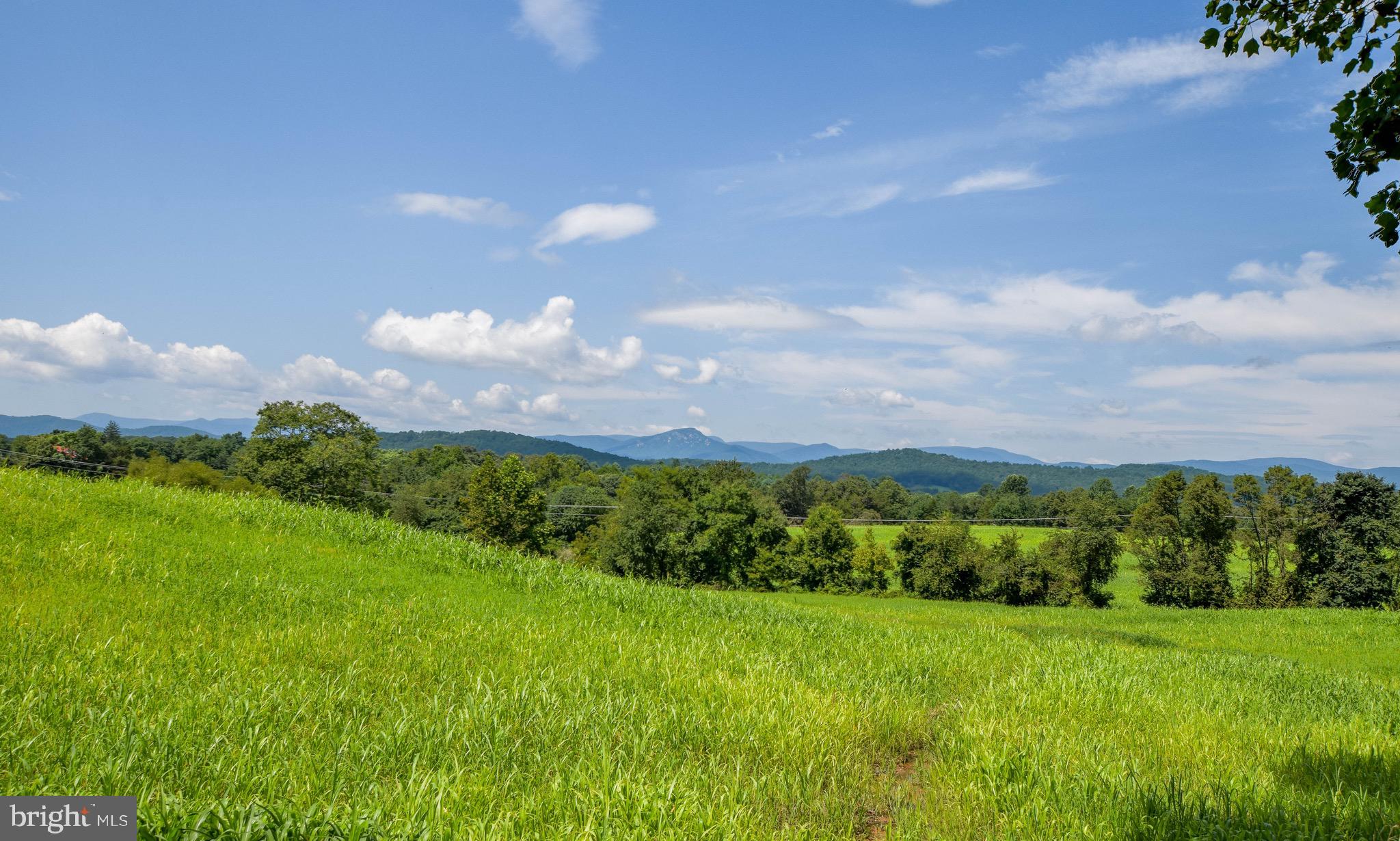 Lot 6 Obannons Mill Road Boston, VA 22713 - Photo 1 of 79
