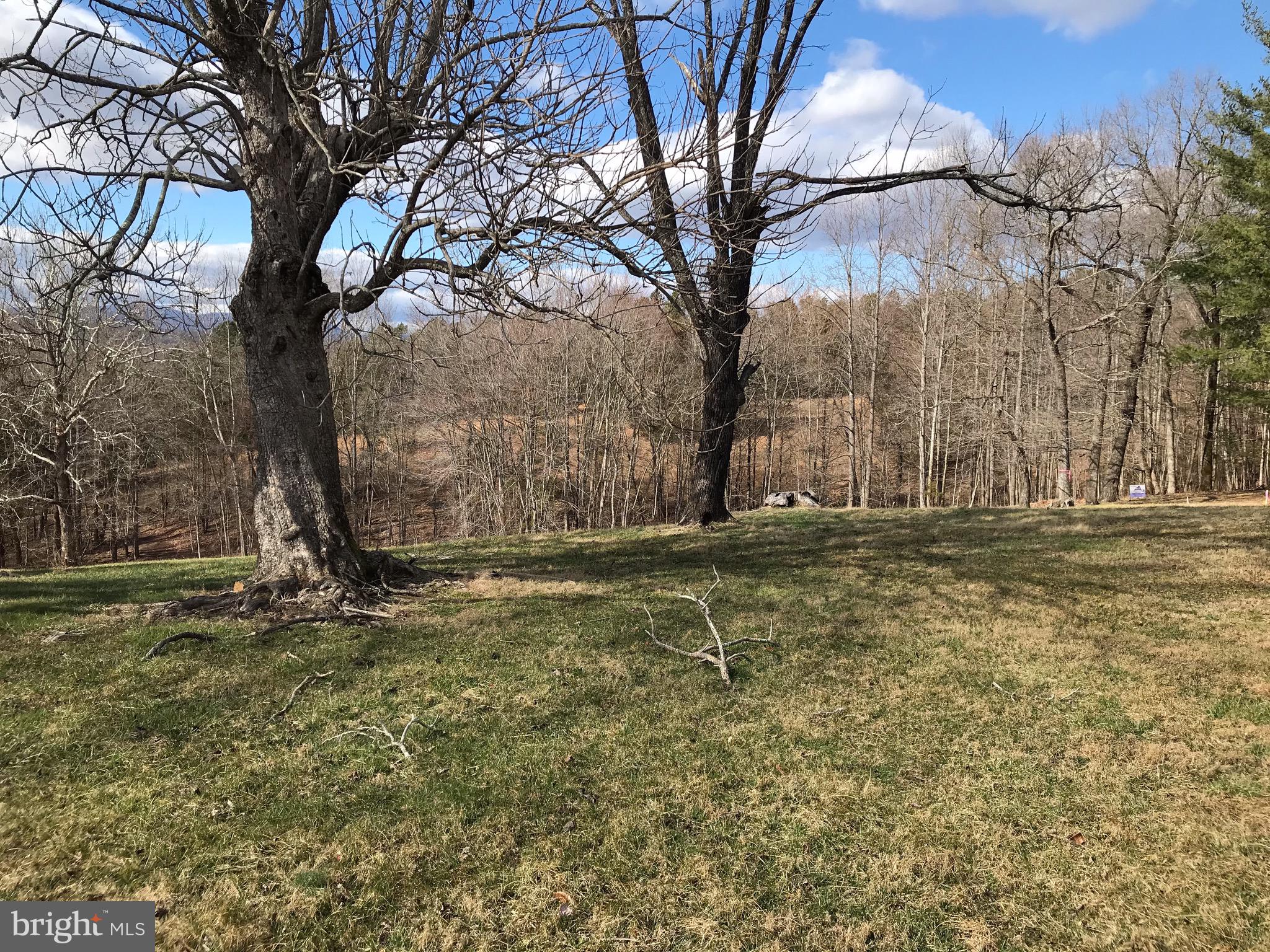 Lot 6 Obannons Mill Road Boston, VA 22713 - Photo 26 of 79