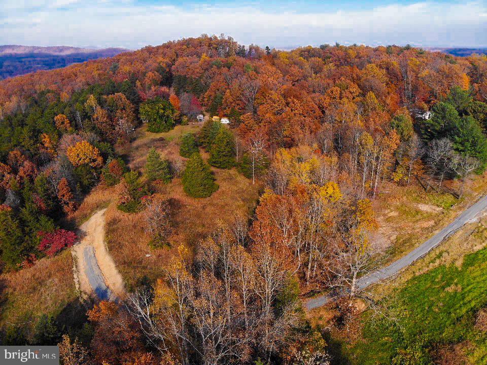 Lot 6 Obannons Mill Road Boston, VA 22713 - Photo 5 of 79