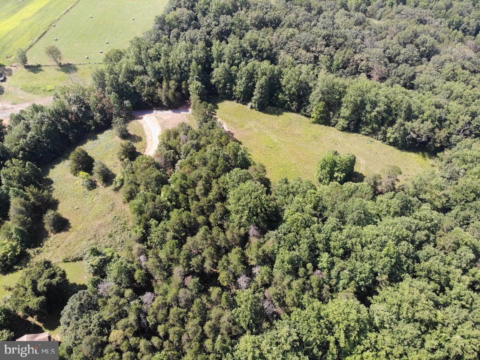 Lot 6 Obannons Mill Road Boston, VA 22713 - Photo 72 of 79