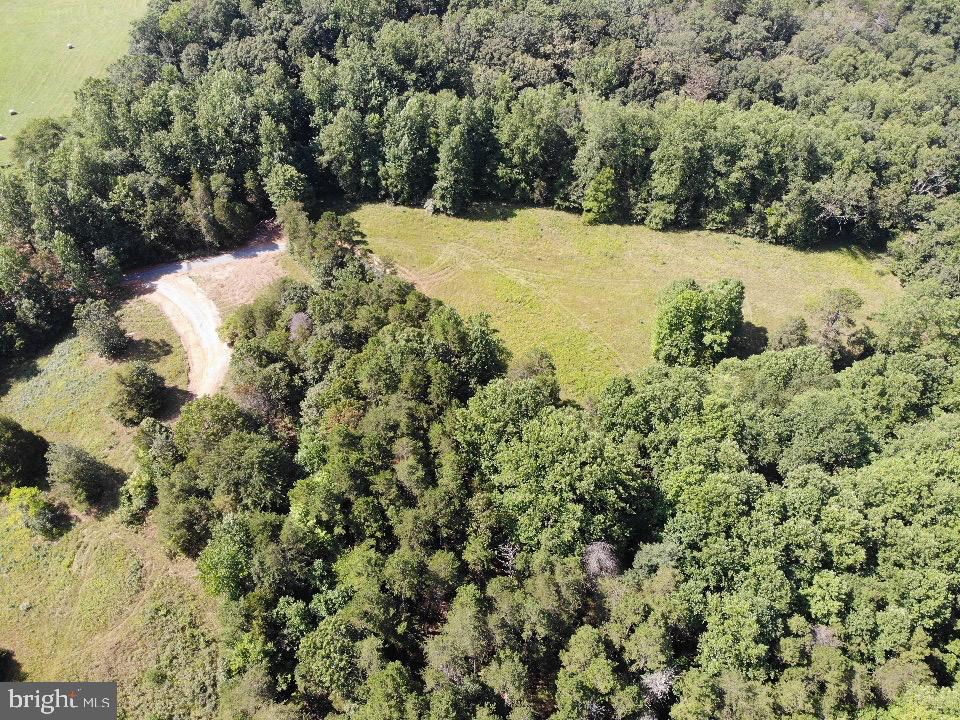 Lot 6 Obannons Mill Road Boston, VA 22713 - Photo 74 of 79