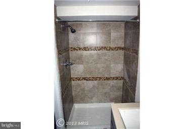 1106 Hollen Road Baltimore, MD 21239 - Photo 10 of 11 Basement Bath
