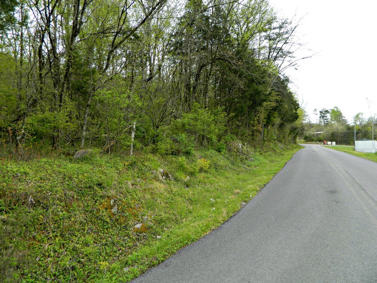 0 Harbin Road Dandridge, TN 37725 - Photo 2 of 5 Gallery Image 2