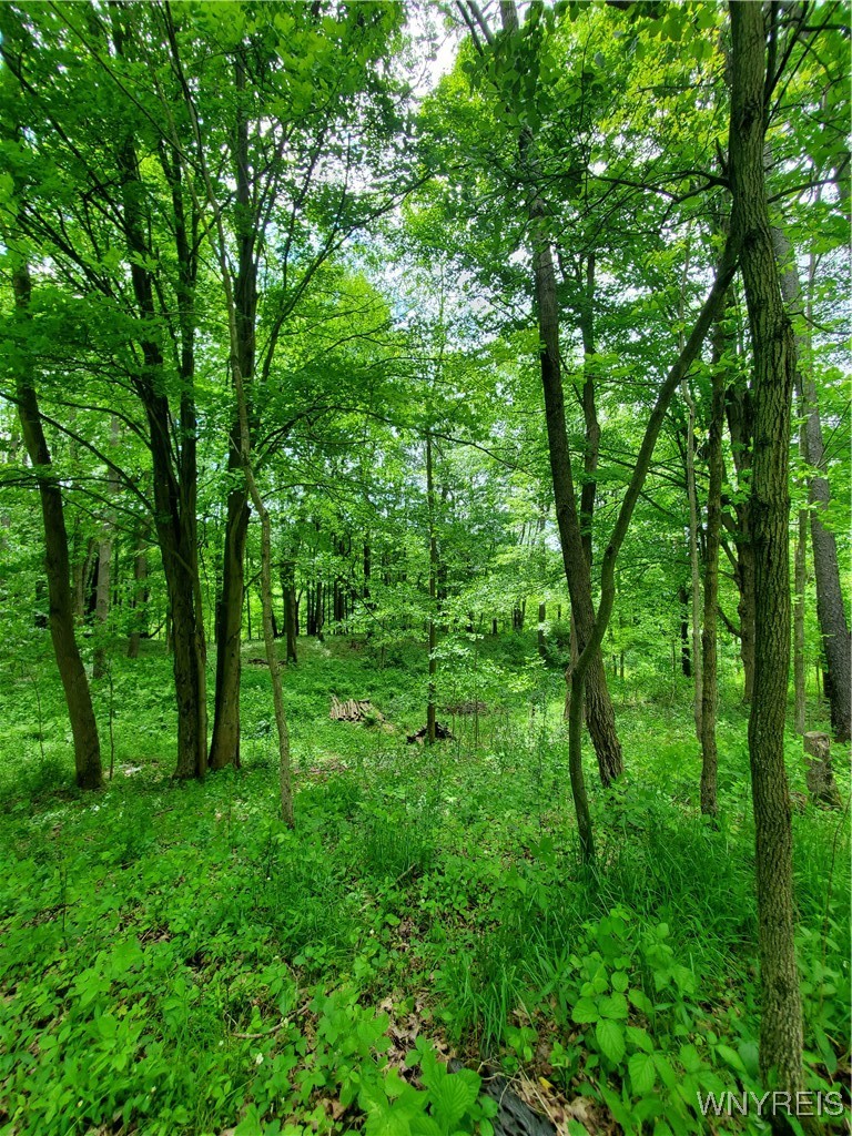 7200 Kent Road Little Valley, NY 14755 - Photo 38 of 43