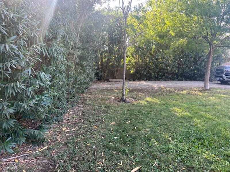 735 Reeds Avenue Red Bluff, CA 96080 - Photo 22 of 39 IMG_1821