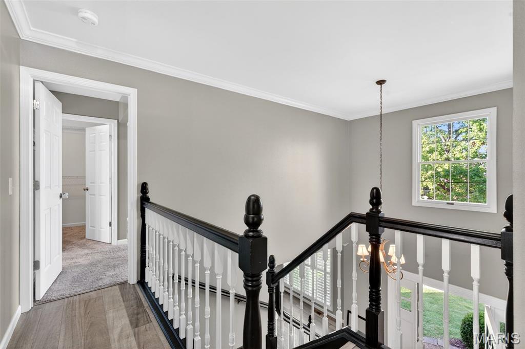 2902 Piney Pointe Drive St. Louis, MO 63129 - Photo 47 of 67