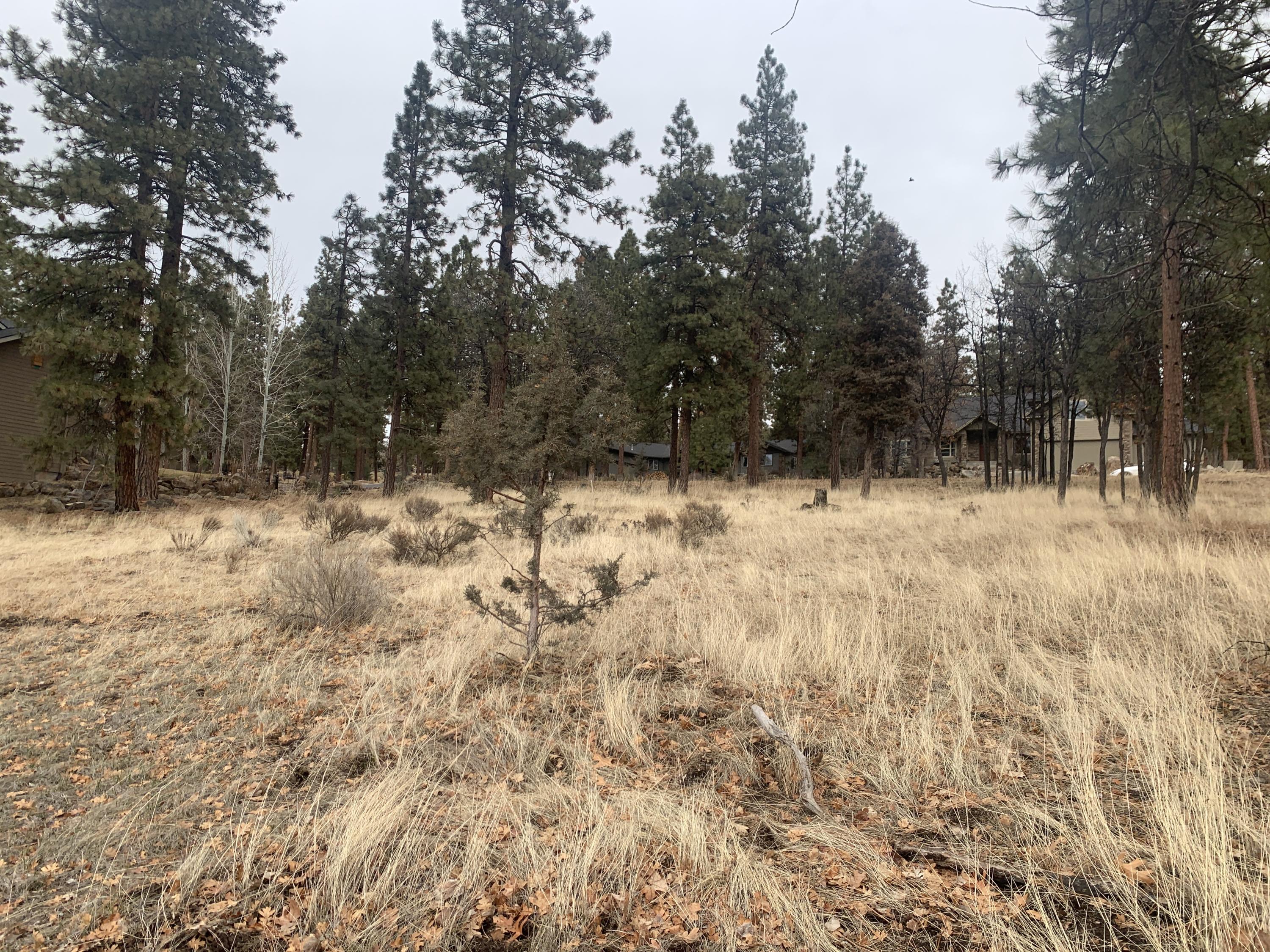 Lot 69 Merganser Road Klamath Falls, OR 97601 - Photo 13 of 20 IMG_9654