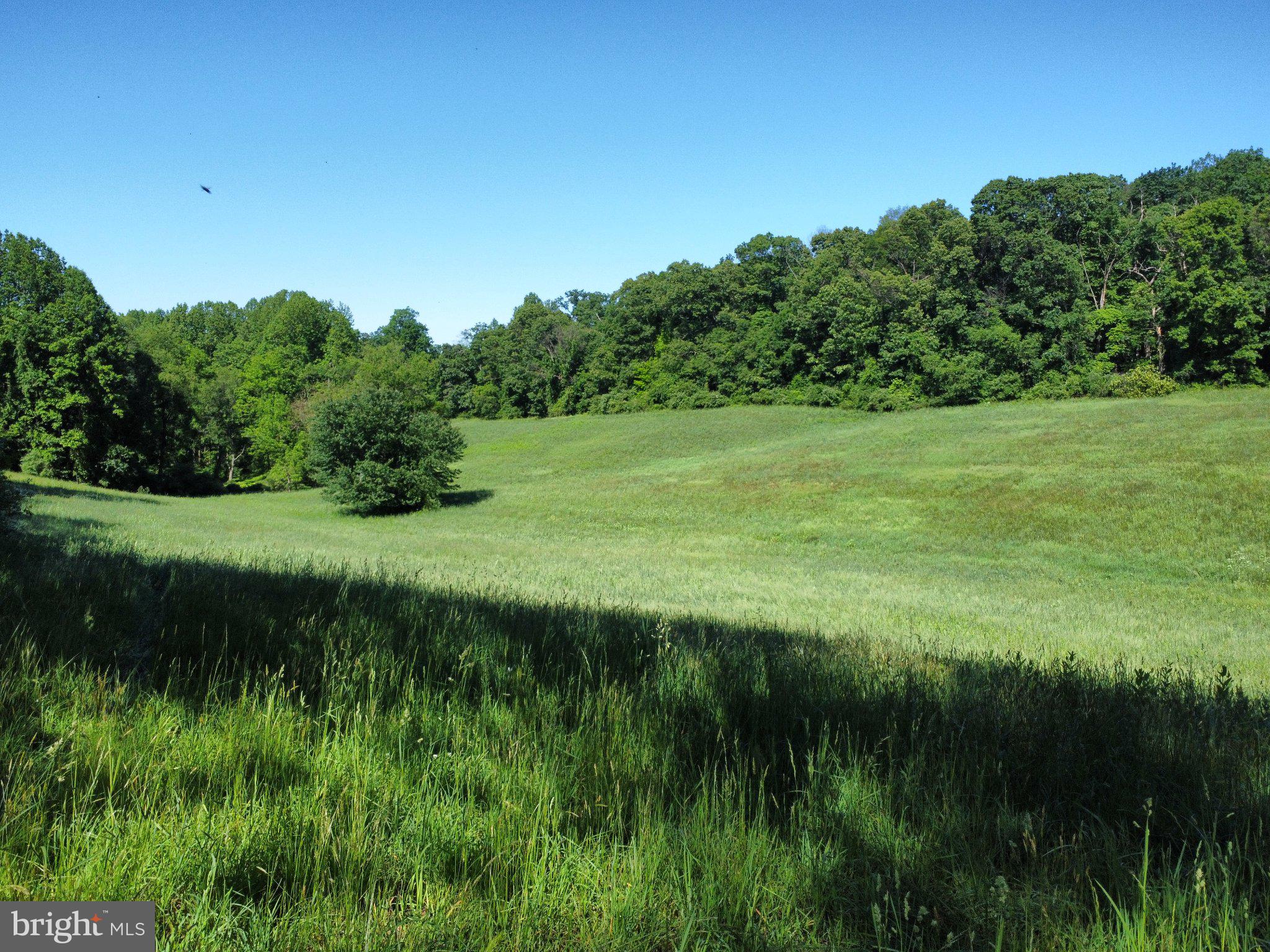 970 Doe Run Road East Fallowfield, PA 19320 - Photo 8 of 16 a view of a lush green space and lake view