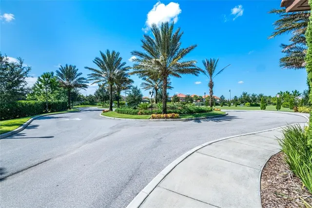 a picture of flowers