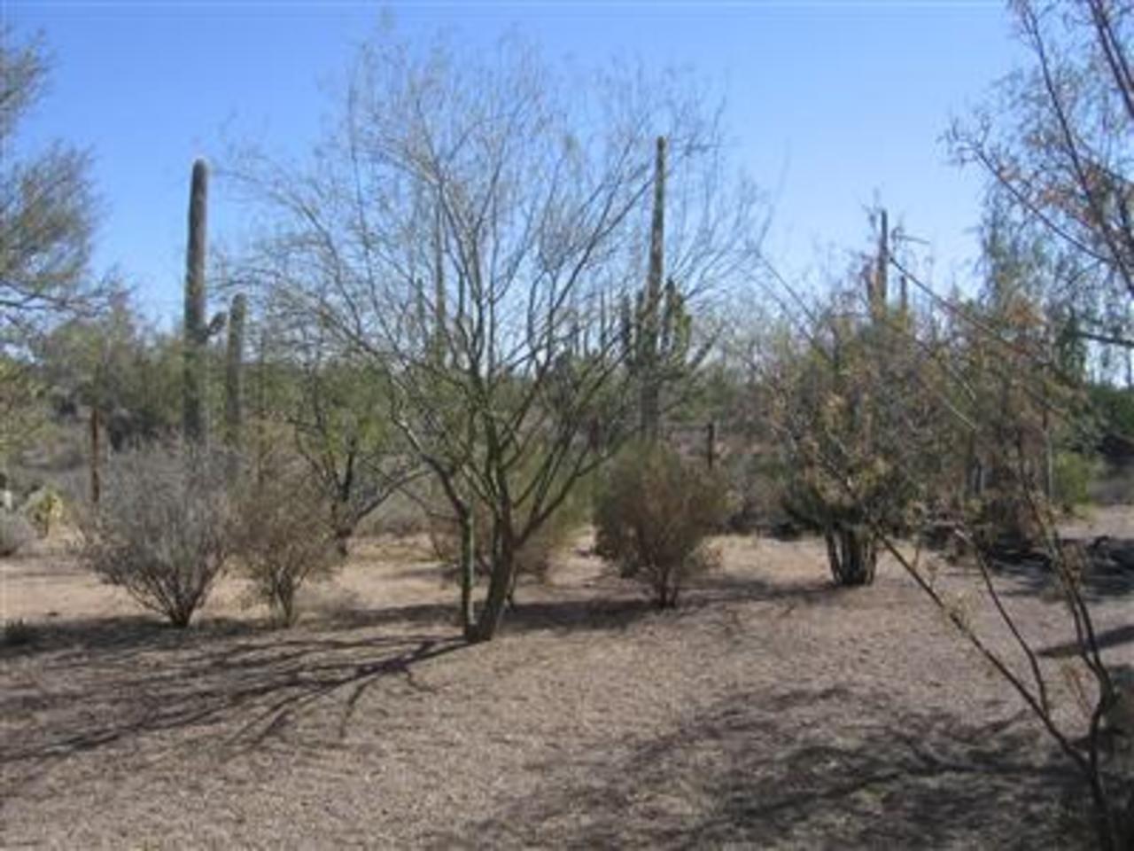 12241 West Fort Lowell Road Tucson, AZ 85743 - Photo 7 of 8