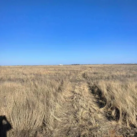 a view of an ocean beach