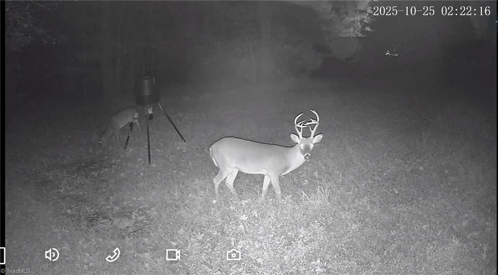 6573 Monnett Road Climax, NC 27233 - Photo 34 of 35