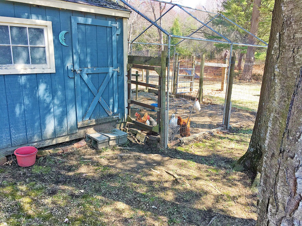 205 Monson Turnpike Road Petersham, MA 01366 - Photo 26 of 30 a backyard of a house