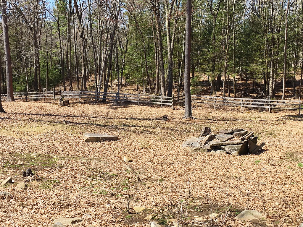 205 Monson Turnpike Road Petersham, MA 01366 - Photo 27 of 30 a view of outdoor space with trees