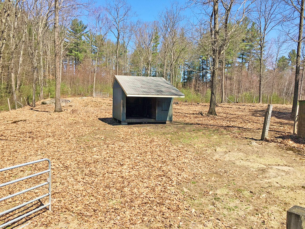 205 Monson Turnpike Road Petersham, MA 01366 - Photo 28 of 30 a view of a yard with wooden fence