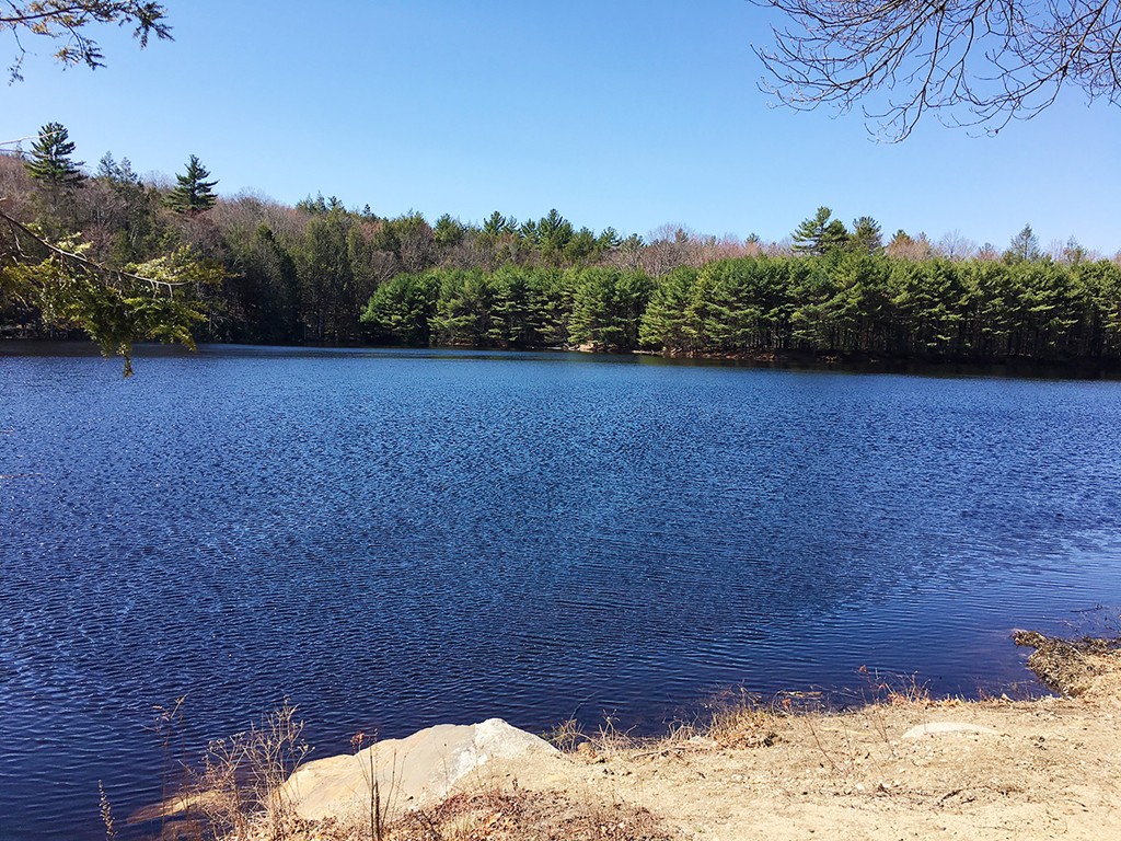 205 Monson Turnpike Road Petersham, MA 01366 - Photo 30 of 30 a view of outdoor space and yard