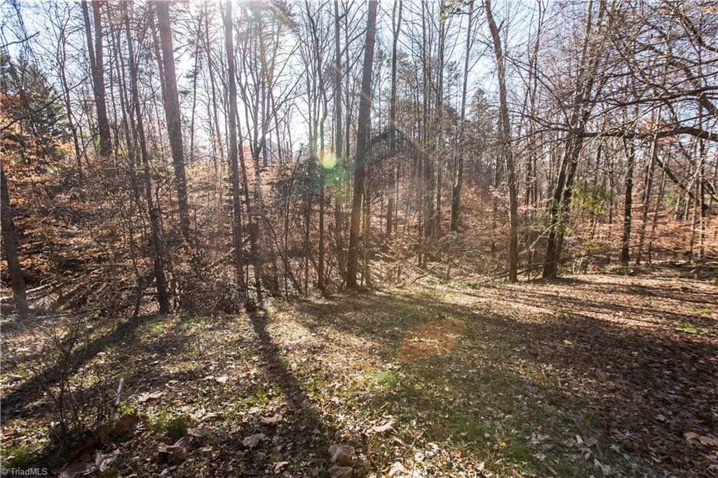 2083 Hampton Road Germanton, NC 27019 - Photo 35 of 36