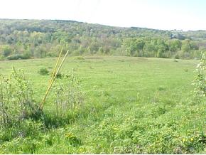 822 Ballyhack Road Port Crane, NY 13833 - Photo 1 of 5 Gallery Image 1