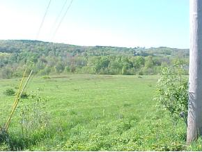 822 Ballyhack Road Port Crane, NY 13833 - Photo 2 of 5 Gallery Image 2