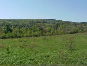 822 Ballyhack Road Port Crane, NY 13833 - Photo 3 of 5 Gallery Image 3