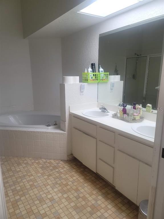 21544 Clubside Loop Lutz, FL 33549 - Photo 7 of 11 a bathroom with a sink and a mirror