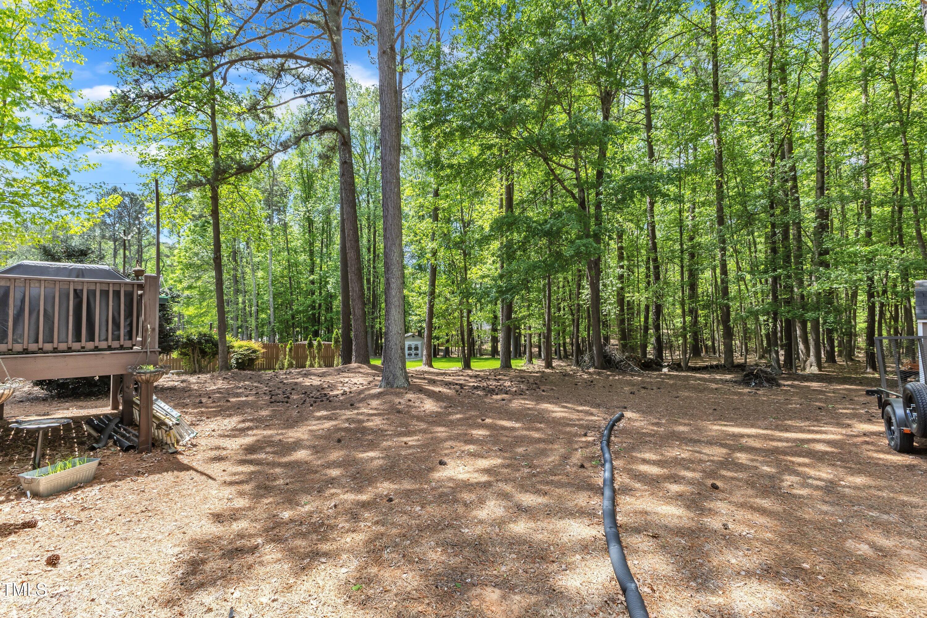 604 Young Forest Drive Wake Forest, NC 27587 - Photo 39 of 55 38-604 Young Forest-8