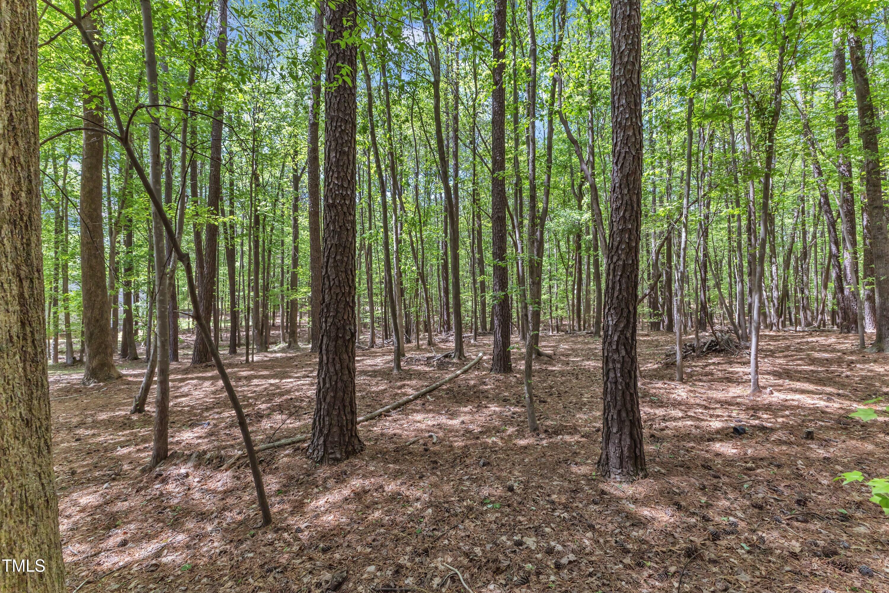 604 Young Forest Drive Wake Forest, NC 27587 - Photo 41 of 55 a view of outdoor space with lots of trees