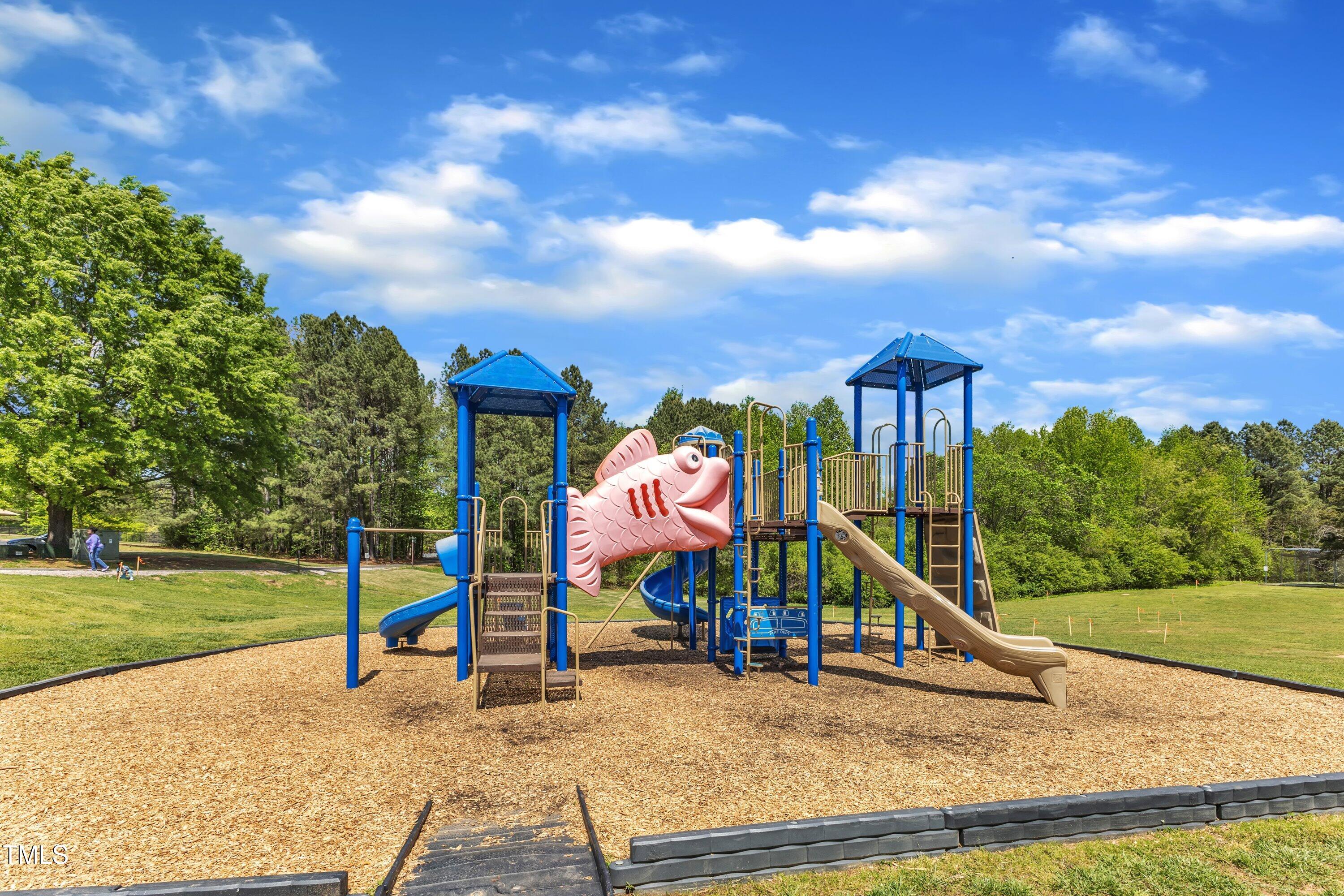 604 Young Forest Drive Wake Forest, NC 27587 - Photo 46 of 55 a view of a park with slide