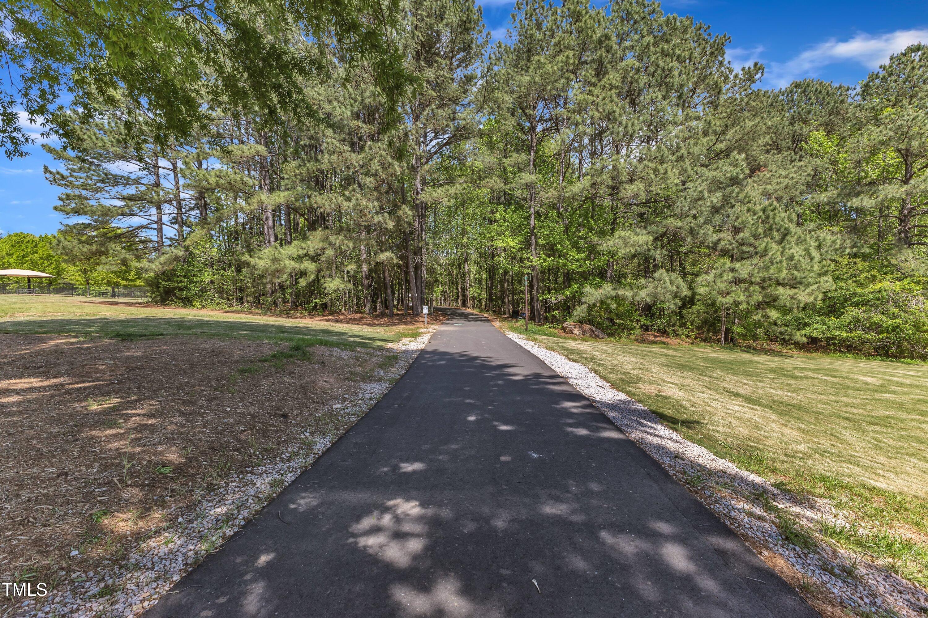 604 Young Forest Drive Wake Forest, NC 27587 - Photo 51 of 55 a view of a yard with an trees