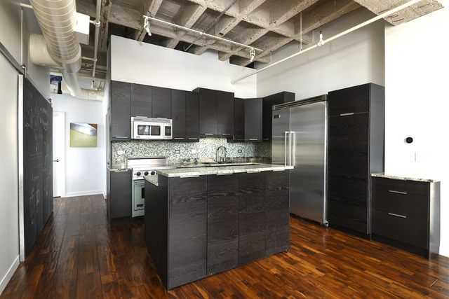 1503 South State Street, Unit 306 Chicago, IL 60605 - Photo 5 of 13