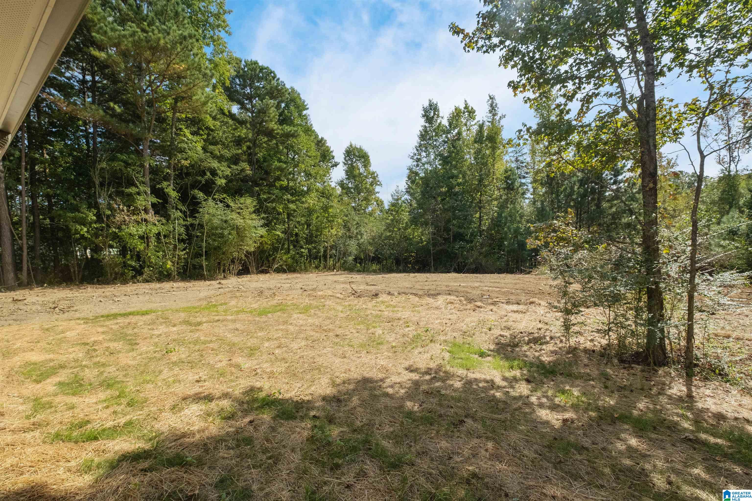 150 Prophecy Lane Springville, AL 35146 - Photo 25 of 27