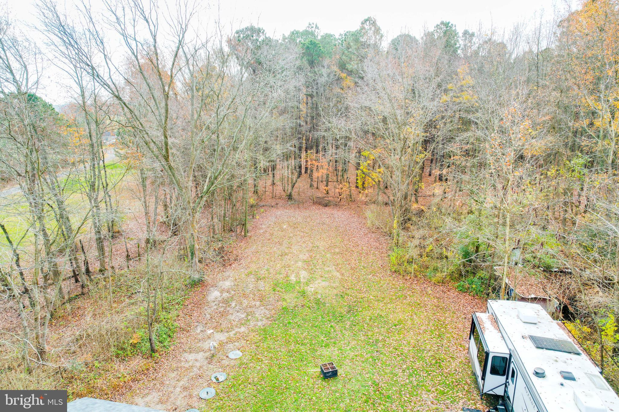 2229 Hudson Road Cambridge, MD 21613 - Photo 2 of 41 a view of yard with trees