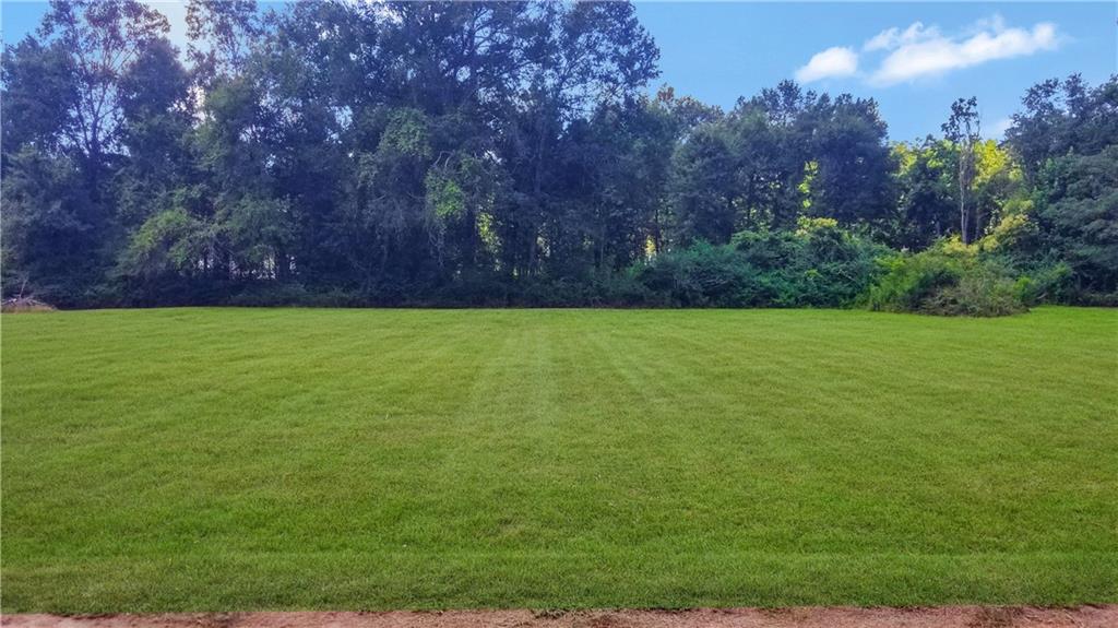 12700 Spitale Road Amite, LA 70422 - Photo 1 of 6 Gallery Image 1
