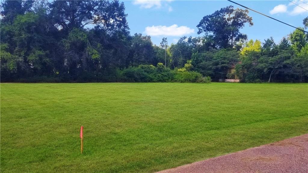 12700 Spitale Road Amite, LA 70422 - Photo 5 of 6 Gallery Image 5