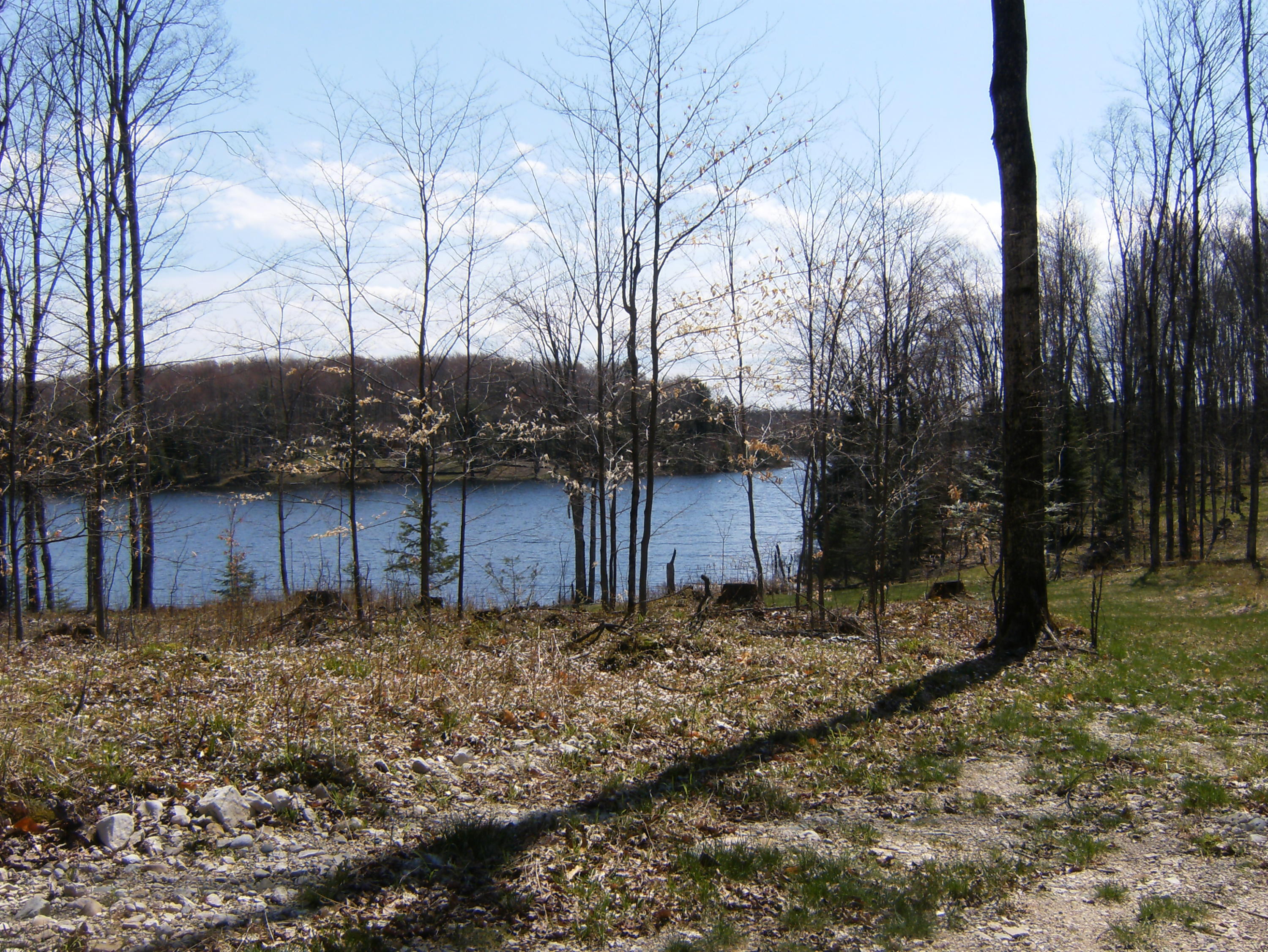 0 Chip Lake Road Germfask, MI 49836 - Photo 6 of 6 Gallery Image 6